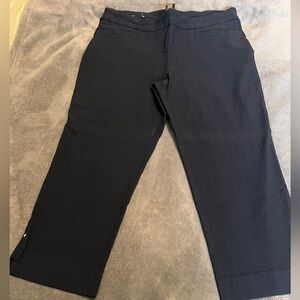 Hilary Radley Navy Blue Capri Pants